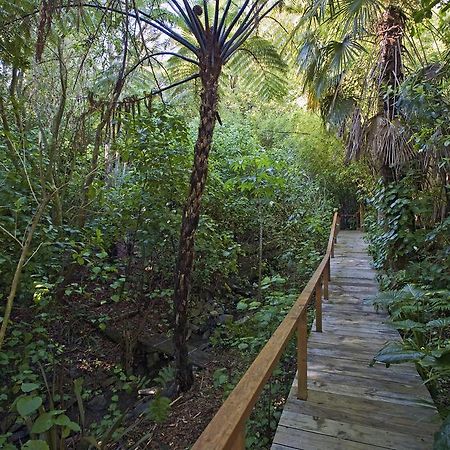 Апартаменты Coastal Escape Нельсон Номер фото